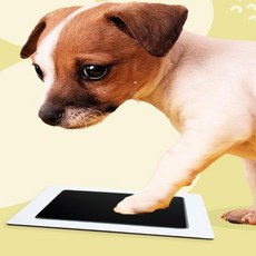 일일오품 강아지발도장키트 강아지발도장액자 강아지발바닥도장 애견발도장클레이, 1개, 파