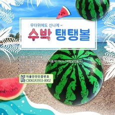 수박튜브수박탱탱볼
