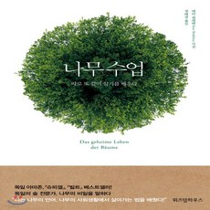가시나무새책