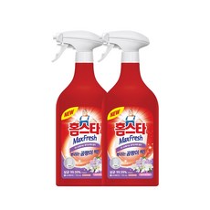 홈스타 뿌리는 곰팡이 싹 세정제, 750ml, 2개