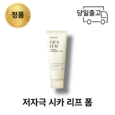 스테디시카리프블랙헤드