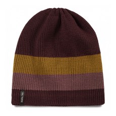 아크테릭스비니