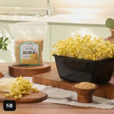 제주콩나물 재배 세트 콩나물콩 500gX5봉+재배기[34374062], 단일옵션, 500g, 5개