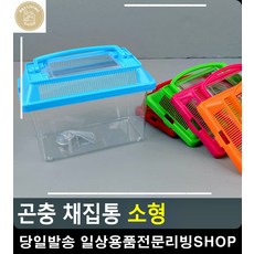 초등학생방학체험