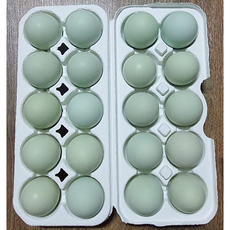 청란-추천-상품