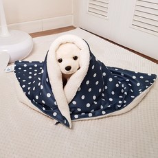 몰리강아지이불