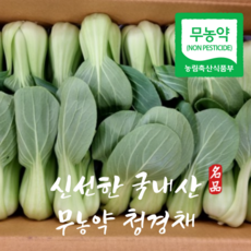 신신마트 국내산 무농약 청경채, 2kg, 1박스