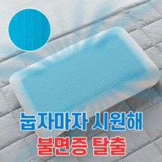 러빙홈스트라이프쿨링베개방수