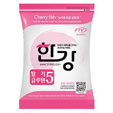 여의도한강보트