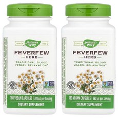 네이처스웨이 피버퓨 허브 Feverfew 380mg 180정 2개