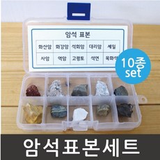 관찰표본