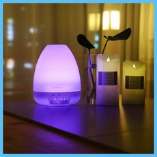 10만원대가습기