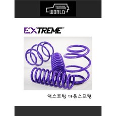 그랜드카니발다운스프링