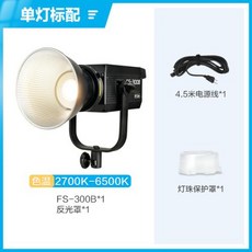 Nanguang FS-200B LED 스트로브 전문 사진 야외 5600K, 6) FS-300B, 1개
