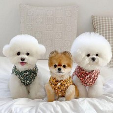 고양이김장조끼