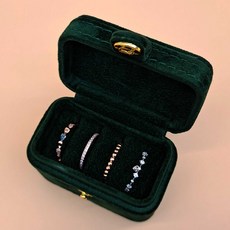 반지스웨이드케이스