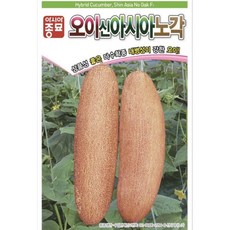 보석광내는천