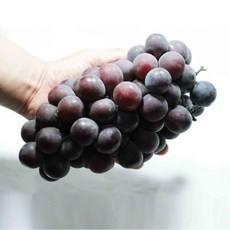 박술녀프리미엄인견