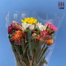 478d67536d07a00d41dee791ce84351dfe33074c795a319388bb16fda0c2.jpg