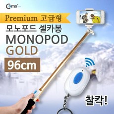카메라셔터
