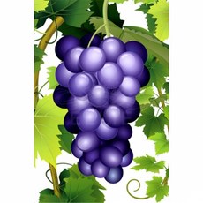 과일보석십자수