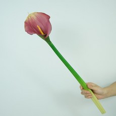 9bdf0f8bcd5c558729dee79f9ddc6ebb7653ed1f9d1d52608d5fc408bdb0.jpg