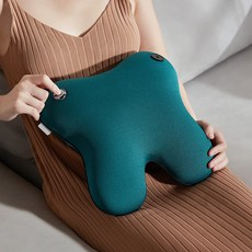 오아 바디케어 무선 안마기 쿠션형 목 어깨 등 허리 종아리 다리 마사지기 OMS-031BE 혼합색상 상품 이미지