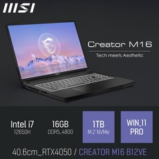 MSI CREATOR M16 B12VE [특가 이벤트], 블랙, 코어i7, 1TB, 16GB, WIN11 Pro