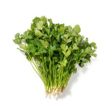 천미방 중국식품 국산 고수 150g 소포장 베트남 태국 향신료, 단일상품