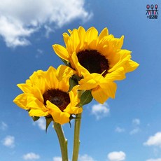 047496fa7883b173da2673ce7cef157dd20f0525bcee42e57520e835f9fb.jpg