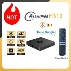 블루레이ODD DVD UHD 블루레이플레이어 블루레이 ODD Q1 스마트 ATV 박스 안드로이드 호환 10 올위너 H313 듀얼 2G 5G 와이파이 BT52 4K 미디어 플레이어, 2.220Vropean Standard - 2GB 16