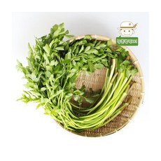 청도안중호 무농약인증 한재미나리 1kg, ONE COLOR, ONE SIZE