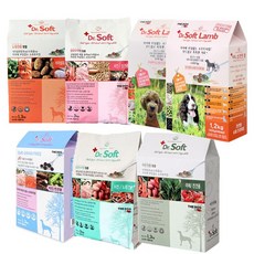 더독하이포알러지