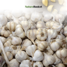 [Naturebasket] 홍산마늘 한접(5kg) / 10kg (대.중.소) 등급선택, 1개, 한접(5kg) - 대