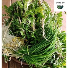 [냉이캐는농부] 서산 황토노지 깨끗이손질된세척냉이 500g 세척달래2묶음, 1세트, 2개