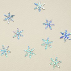 실버스노우클래스