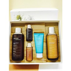 루트힐모이스처라이저