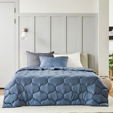 모던하우스 스웰 익스트림 구스다운필 볼륨 퀸 이불솜 네이비 200x230cm_FP2320005