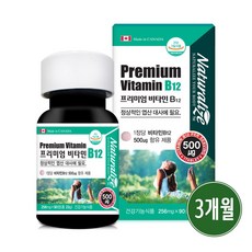 비타민b 12 영양제 식약청 인증 고농축 고함량 바이타민 B12 코발라민 엽산 대사 효능 캐나다, 1개, 비타민b12 (3개월분)