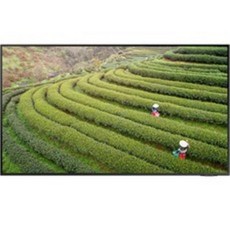삼성전자 4KUHD QLED 슬림핏 TV