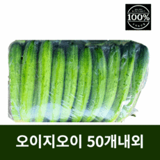 신선반찬오이소박이