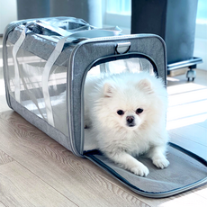 (보경샵) 강아지 고양이 메쉬가방 반려동물 휴대용가방 5중 오픈형 반려동물 이동가방 캐리어 케이지 기내용 슬링백, 그레이