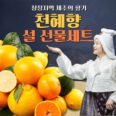[달하나농수산] 제주 천혜향 백화점 납품용 명절 초특가 16brix 고당도 산지 직송, 1세트, 5kg 특대과 (9~18과 / 실중량 4.5kg)