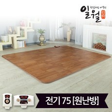 뉴나노륨온돌마루2022년형