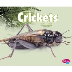 Crickets Hardcover, Capstone Press