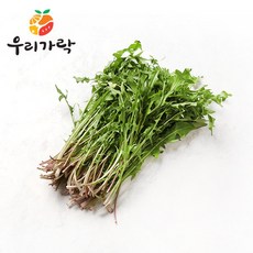 [우리가락] 민들레 1kg 이내, 상세 설명 참조