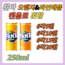 환타 파인애플 오렌지 250ml 혼합 각5캔/10캔/15캔/20캔 탄산 음료, 파인+오렌지 250ml 각20캔 총40캔