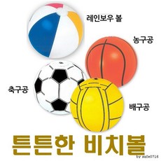 색동비치볼