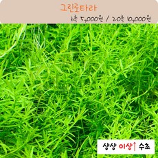 //상품명