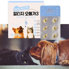 도그앤캣 알티지 오메가3 강아지 고양이 반려동물 건강관리 영양제 60캡슐